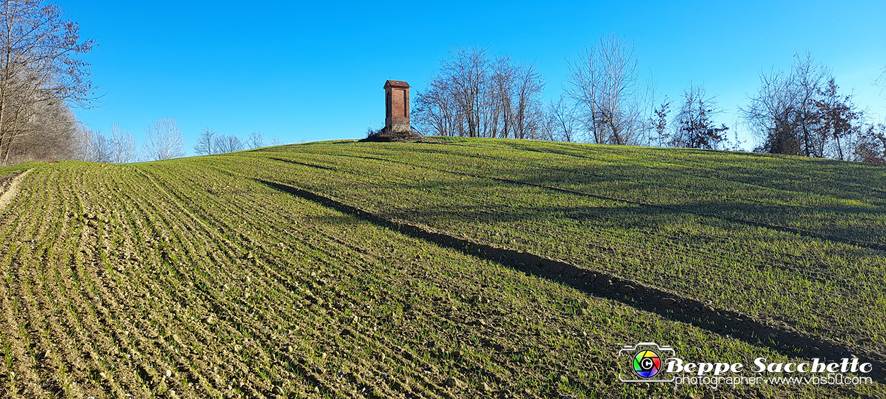 20230110_151510 - Dalla terra... il grano.jpg